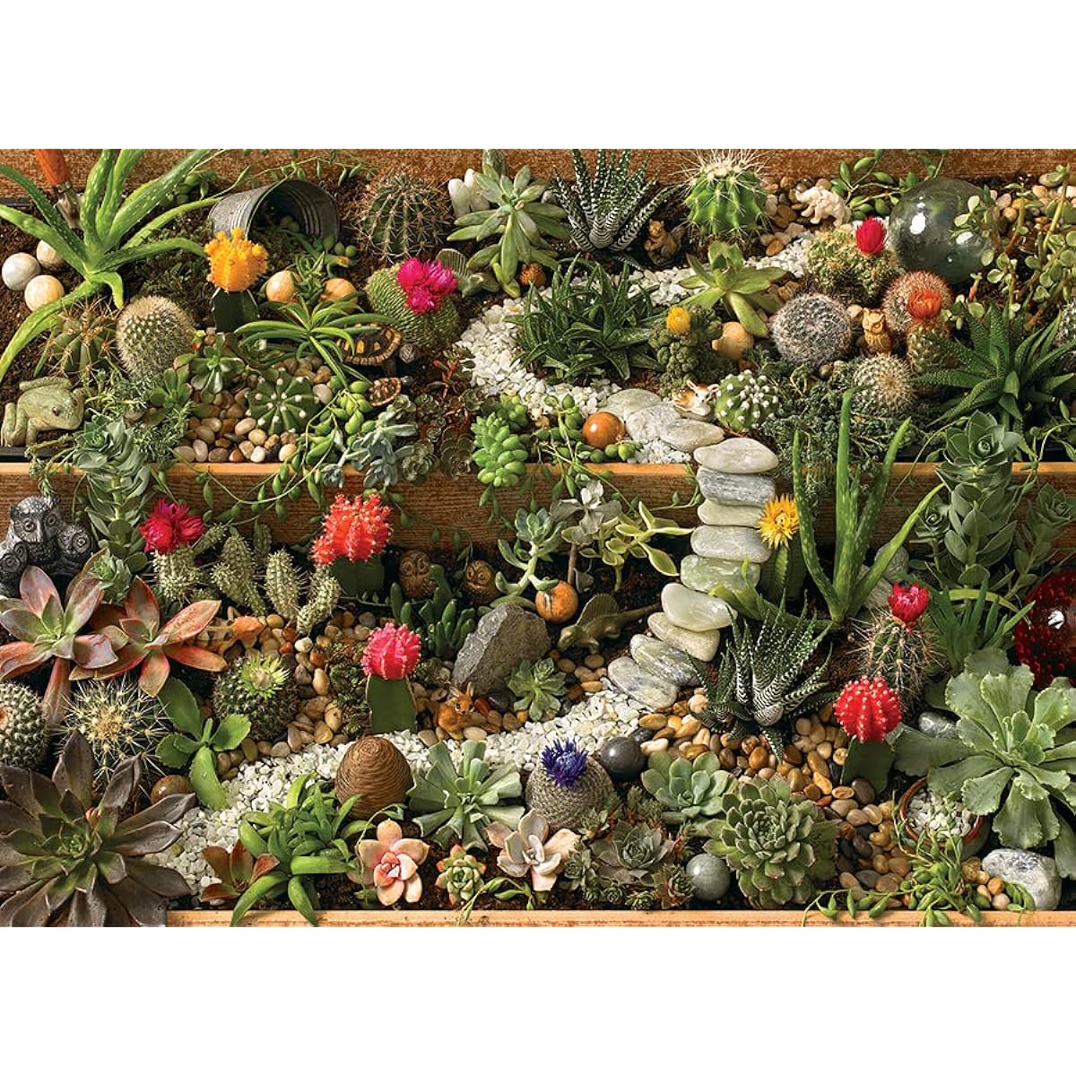 Cobble Hill 1000 Piece Puzzle Succulent Garden with Sample Poster
