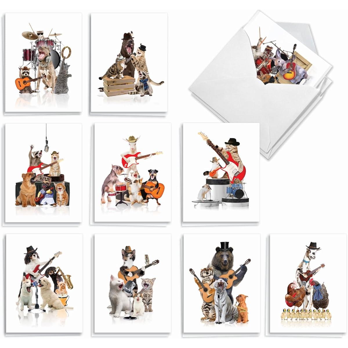 The Best Card Company Animal Band - Box of 20 All Occasion Cards - Bulk Set AM9508OCB-B2x10