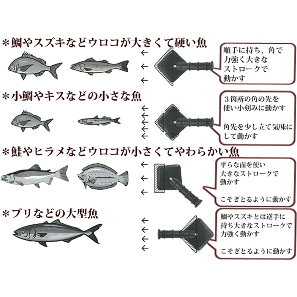Katari Shoji PTYGRACE Scale Remover New Method Scale Remover Scale Tor Small Made in Japan