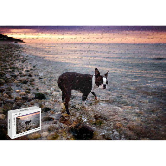 500 Piece Jigsaw Puzzle Boston Terrier Smart Wooden Material 20.6 x 15.1 Inch