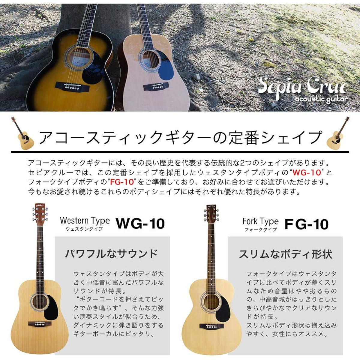 Sepia Crue Acoustic Guitar Beginner Introductory Value Set Folk Type FG-10/N Natural