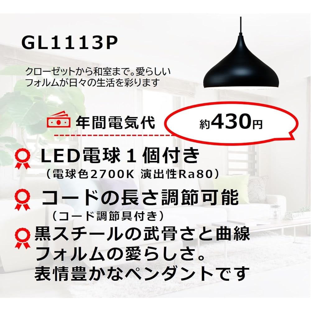 Takizumi Steel Sade Pendant Light LED Bulb x 1 Included GL1113P