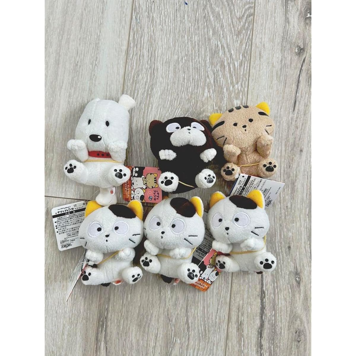 Tama & Friends Do you know my Tama? Tama from 3rd Street