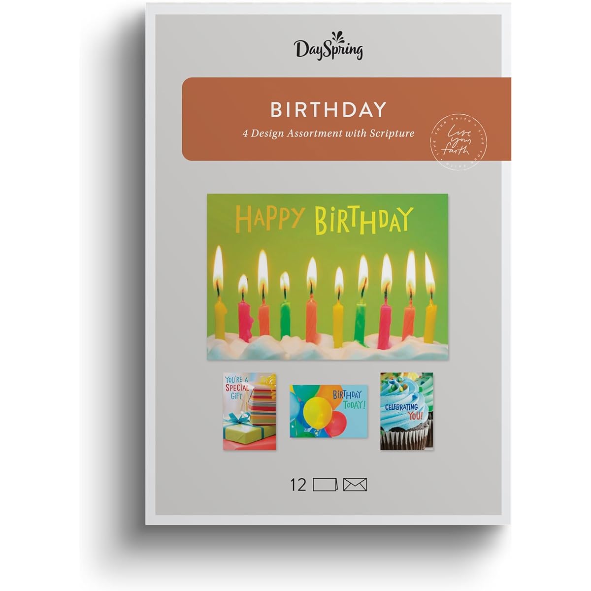 DaySpring Birthday:Celebrating You - 4 Designs Assorted with Scripture - 12 Birthday Box Cards & Envelopes, Multi(J6361)