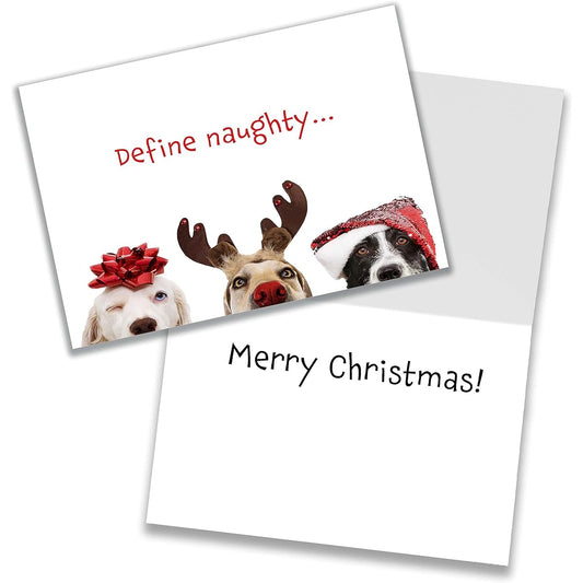 Allynn's Funny Dog Christmas Cards with Envelopes Variety Pack of 4 Naughty Dog Designs (5 of Each) - 20 Dog Themed Christmas Cards with 21 White Envelopes (Definition of Naughty)