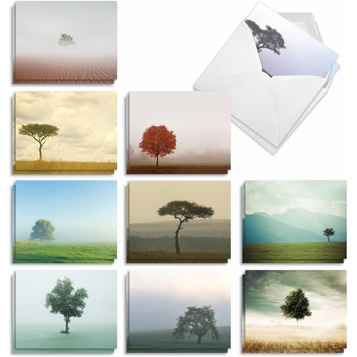The Best Card Company Timeless Tree 20 All Occasion Cards Boxed Bulk Set AM9524OCB-B2x10