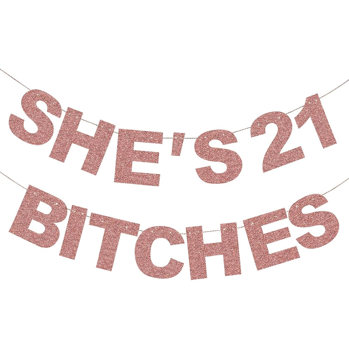 Rose Gold 21st Birthday Decorations for Her - 21st Birthday Photo Background Sign Funny Happy 21st Birthday Banner 21st Birthday Party Supplies - 21st Birthday Decorations for Girls and Women