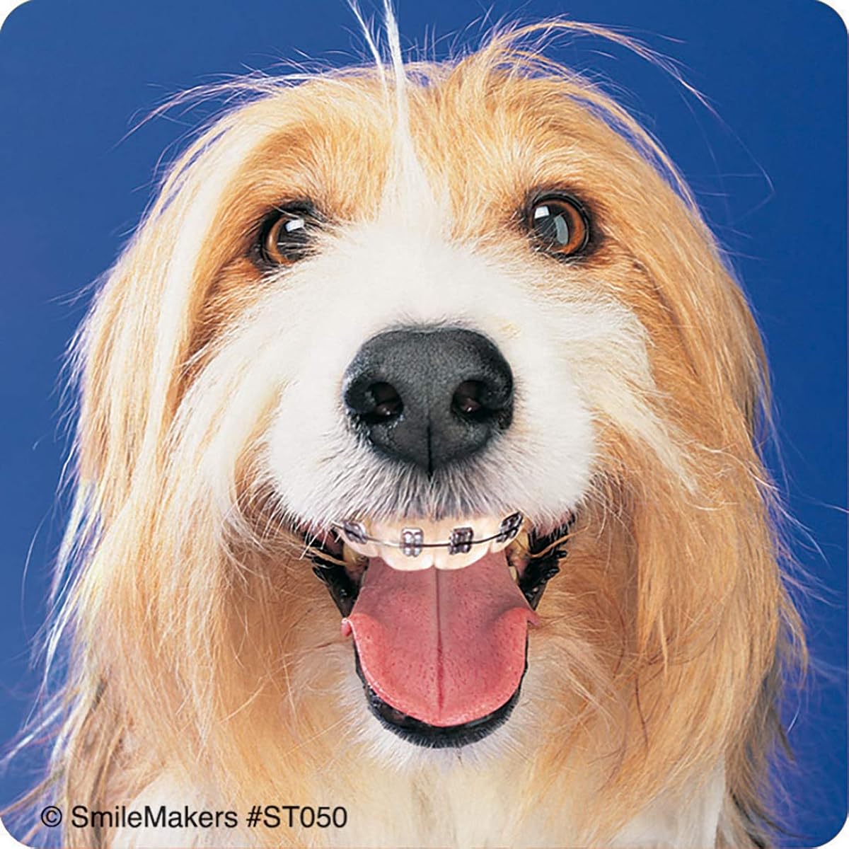SmileMakers Dental Stickers Dogs - Prizes and Giveaways - 100 per Pack