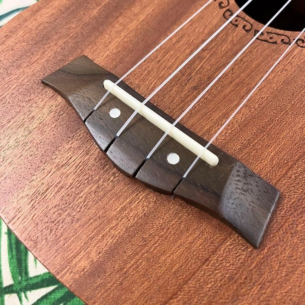 Beginner's Set Music's Soprano Ukulele Ukulele Specialty Store