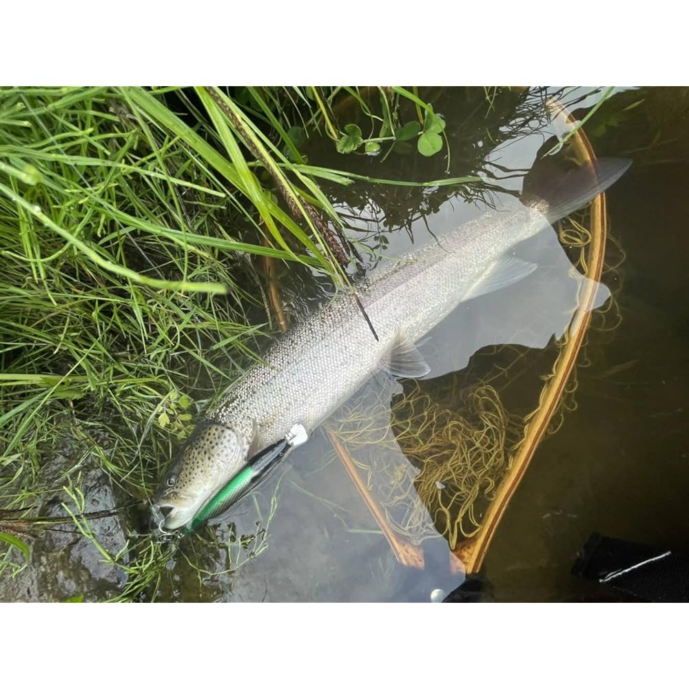 Pazdesig lure reed ELCALIBER 150SF