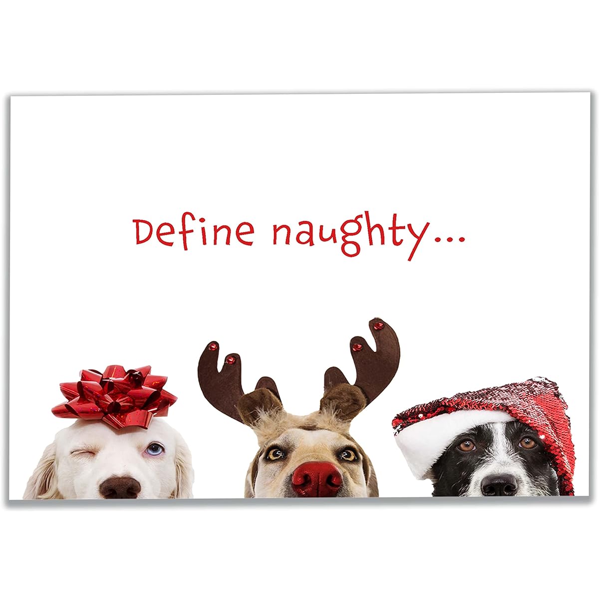 Allynn's Funny Dog Christmas Cards with Envelopes Variety Pack of 4 Naughty Dog Designs (5 of Each) - 20 Dog Themed Christmas Cards with 21 White Envelopes (Definition of Naughty)