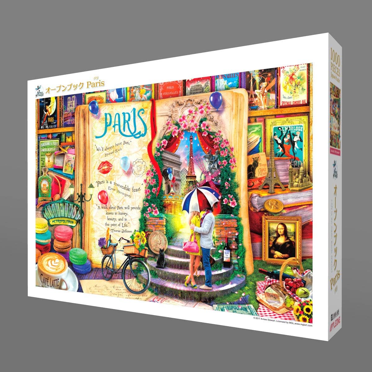 1000 Piece Jigsaw Puzzle Open Book Paris (50x75cm)
