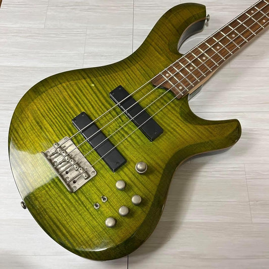 4826 clive FP300 24 frets green I8TG