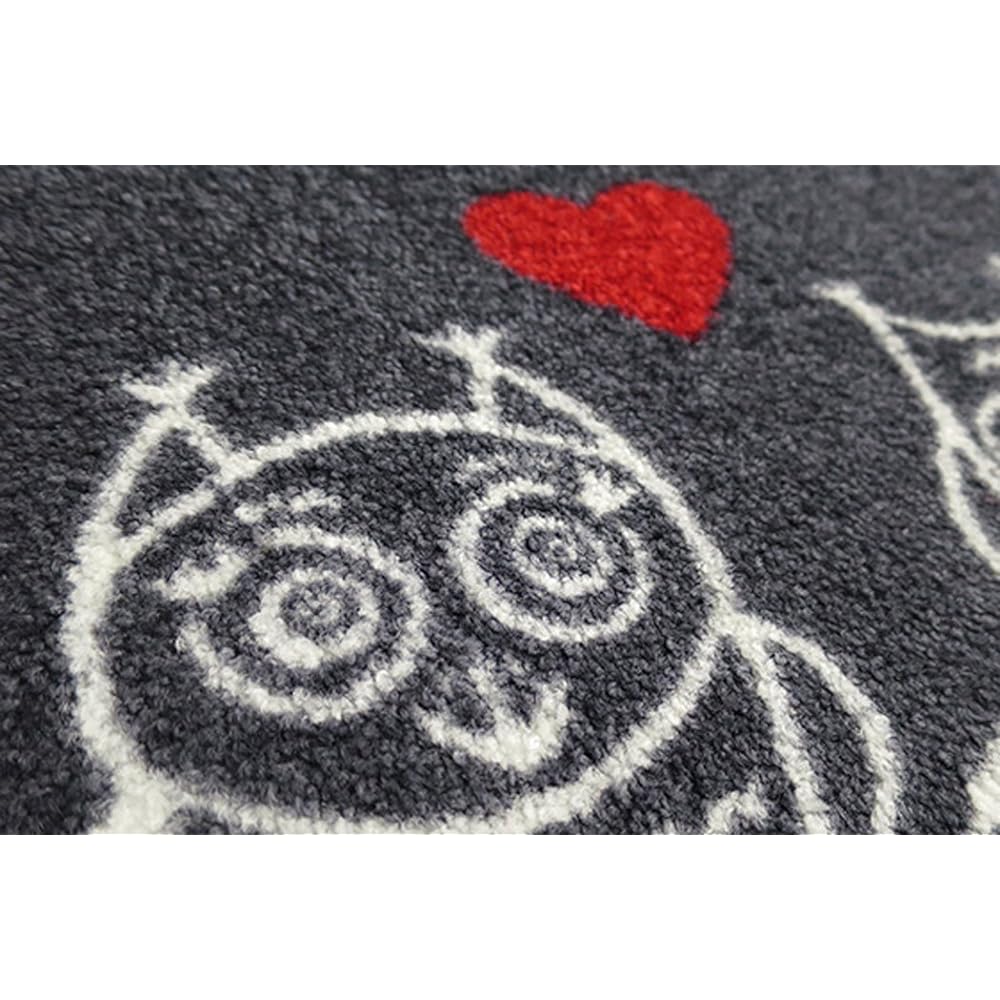 Cleantex Japan Entrance Mat We are Family 50×75cm wash+dry AB00242