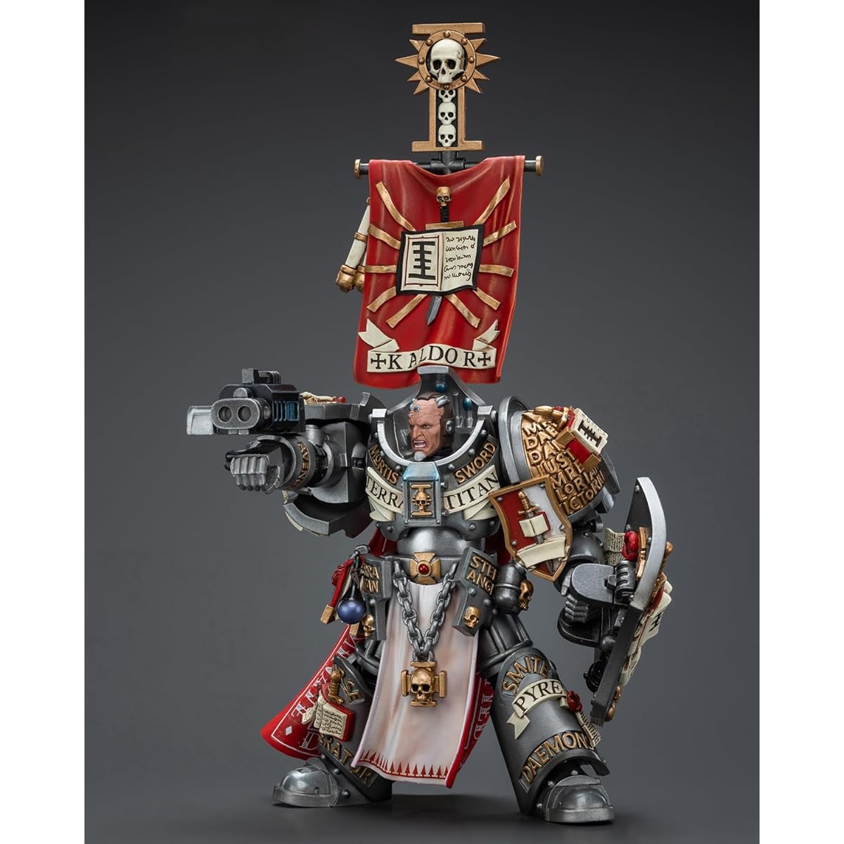 Pipigirl JoyToy 40K Genuine Licensed 1:18 Action Figure Grey Knights Kaldor Dragoo 4-Inch Collectible Action Figure Kit (Kaldor Dragoo)