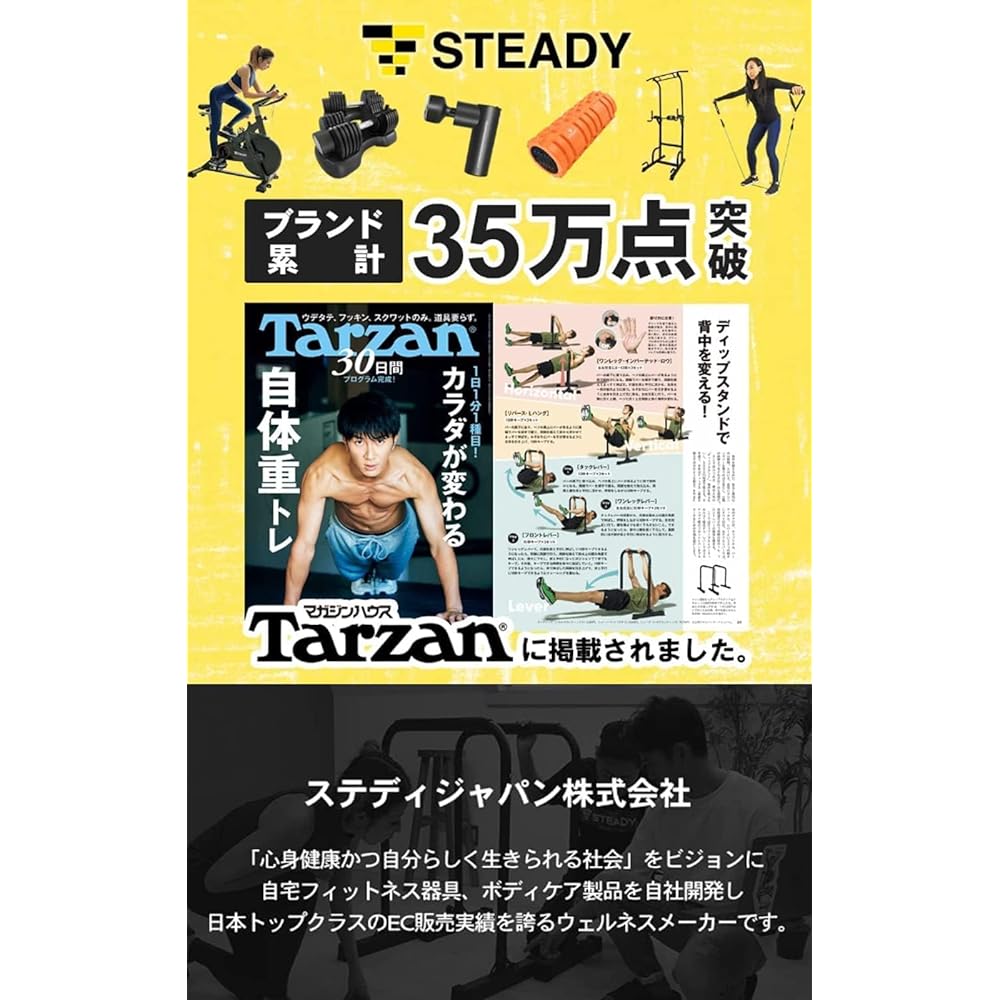 STEADY dips stand [Designed in Japan proprietary TS System™ support (registered as a patent office proposal) / Load capacity 150kg / 3 height levels / Dividable] Steady ST126 Push-up bar
