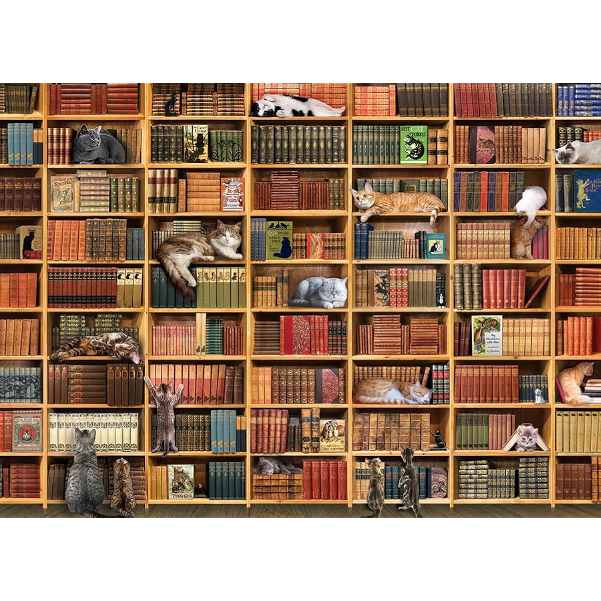 Cobble Hill 1000 Piece Puzzle Cat Library with Sample Poster