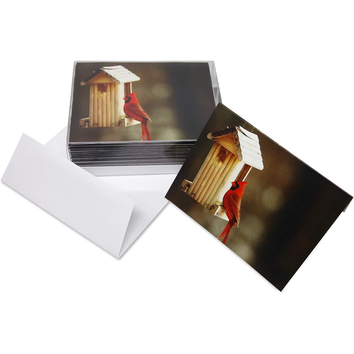 Cardinal Greeting Cards - Bird Notecards - Blank Inside - Includes 12 Cards and Envelopes - 5.5" x 4.25"