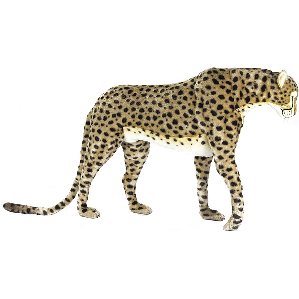 BH6544 HANSA Cheetah 125