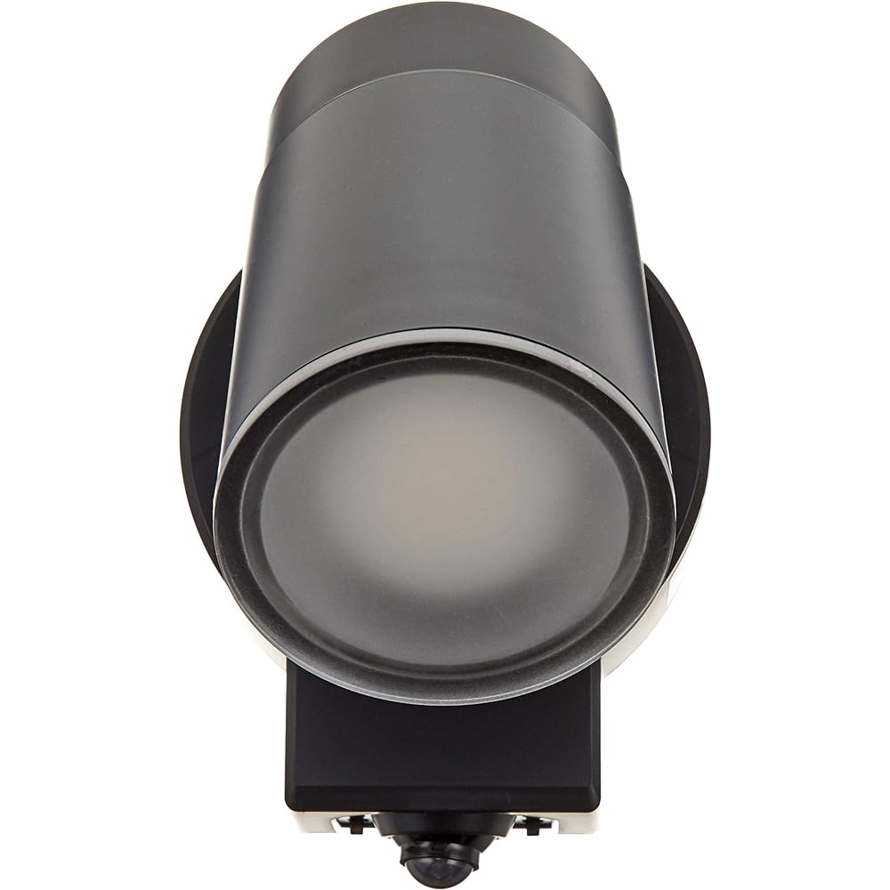 Koizumi Lighting Exterior Spotlight Diffused Black AU50448