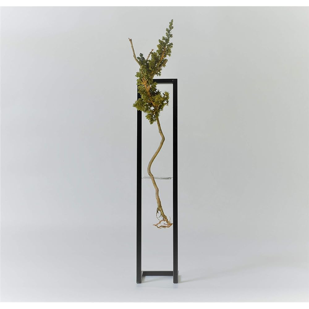 World Dry Bonsai Association General Incorporated Association Bonsai, Dry Bonsai, Dry Bonsai, DRY BONSAI Dry Bonsai/Iron Frame Decoration 4582522520236 Interior Object Gift Green Body: Depth 14cm Body: Height 35cm Body: Width 14cm
