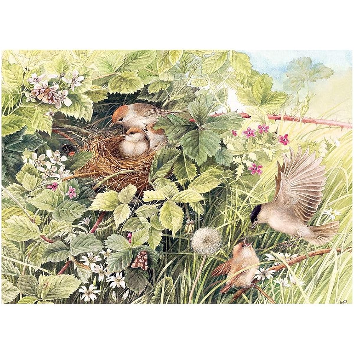 Cobble Hill 1000 Piece Puzzle - Hidden Nest - Includes Sample Poster