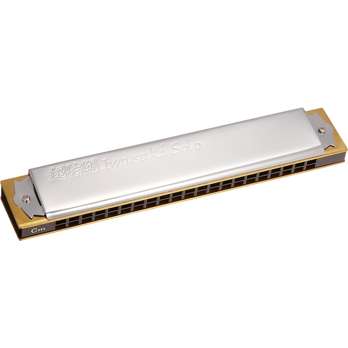 TOMBO double tone harmonica super special grade Iwasaki solo 1921S-Cm