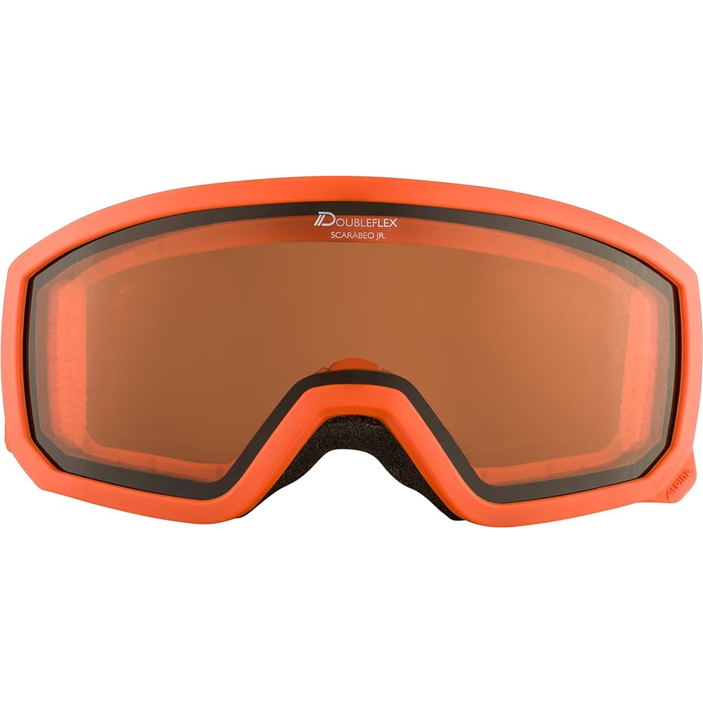 ALPINA Children's Ski Snowboard Goggles Double Lens Anti-fog Glasses Can Be Used SCARABEO JR DH