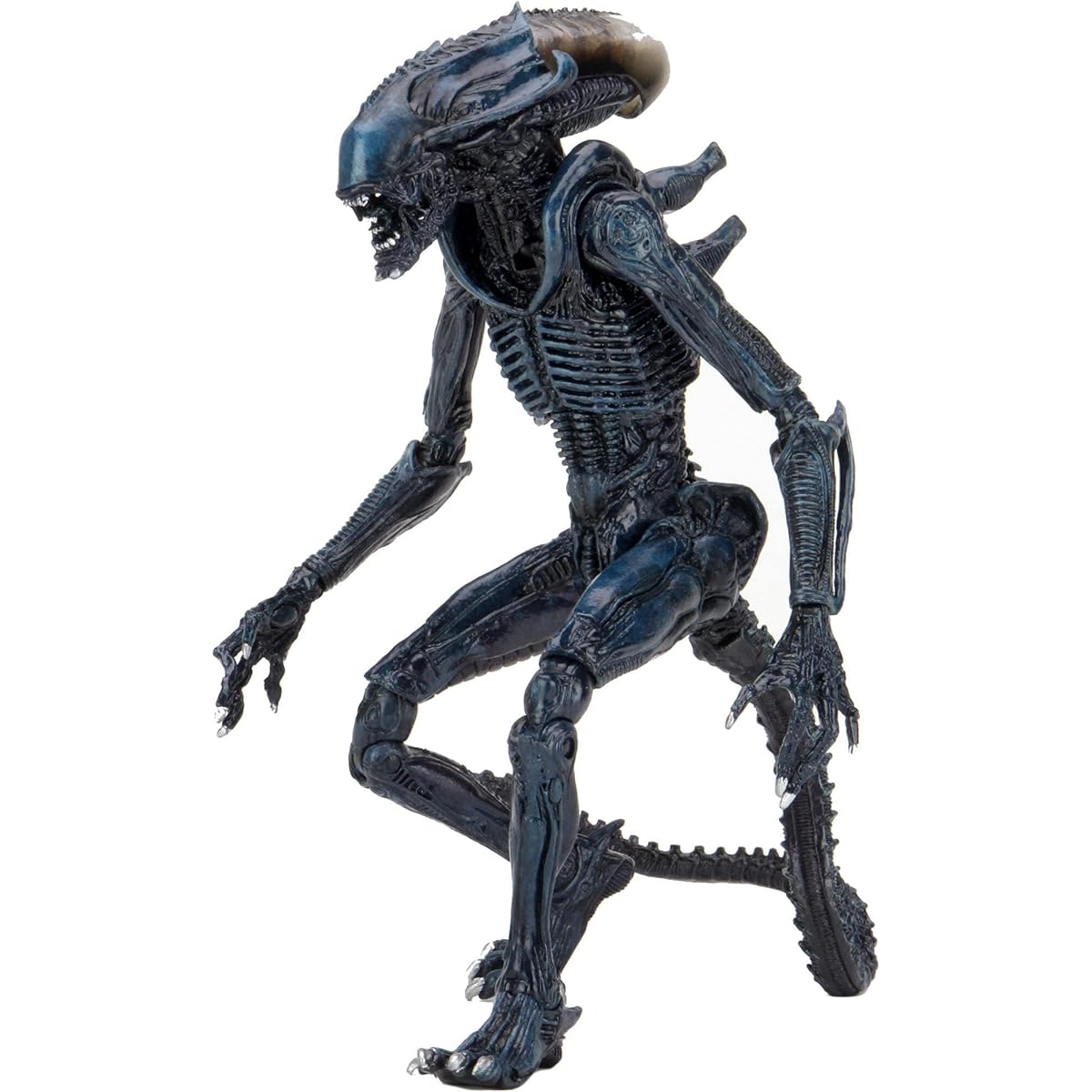 NECA Alien vs Predator 7-Inch Scale Arachnid Alien Action Figure