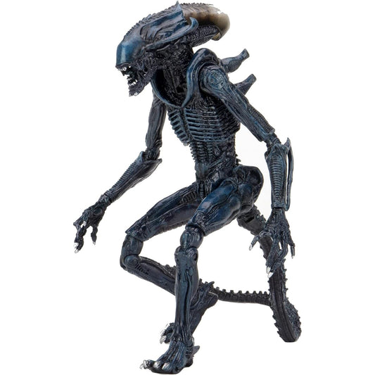 NECA Alien vs Predator 7-Inch Scale Arachnid Alien Action Figure