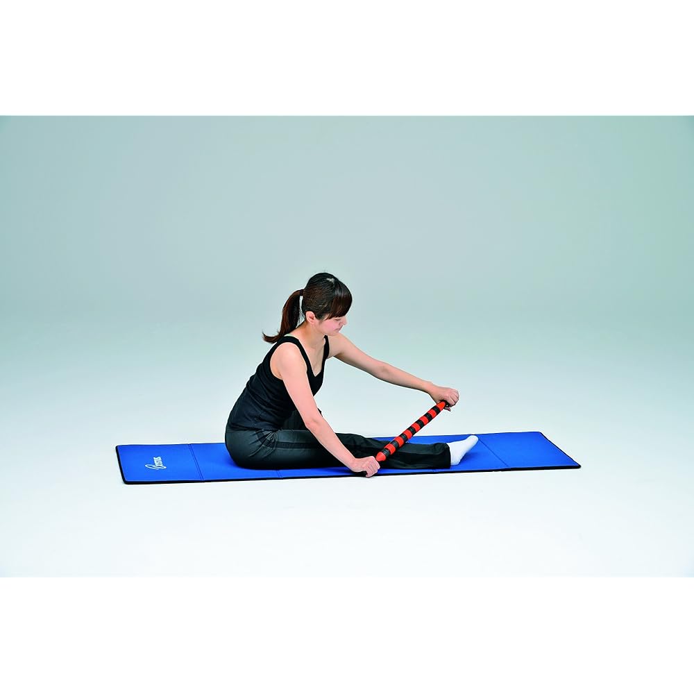 TOEI LIGHT Massage Stick Roller H7253