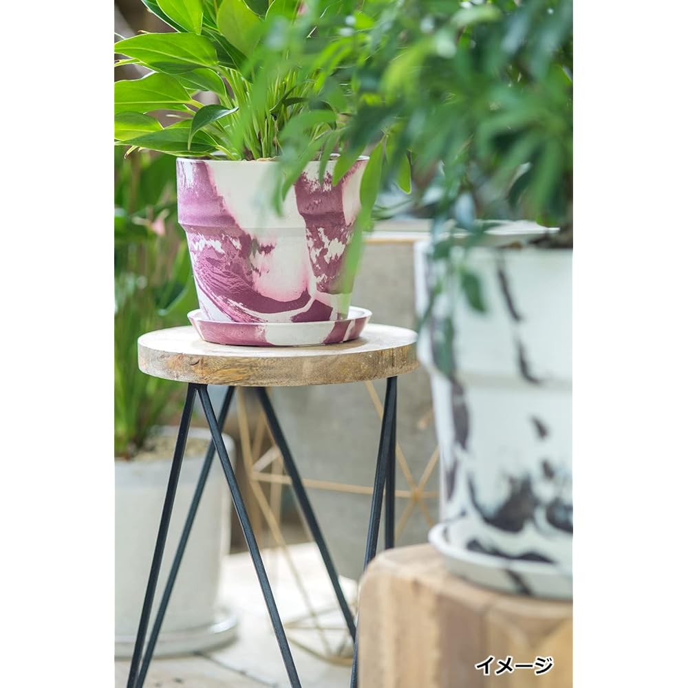 Posh Living Flower Stand Circle Stand 22.5×22.5×30cm 41300