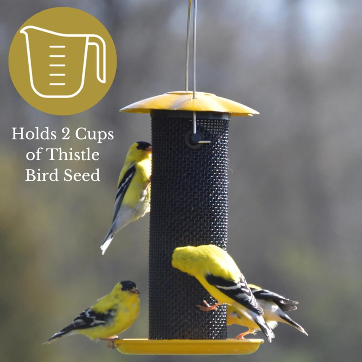 Songbird Essentials Petite Yellow Thistle Feeder