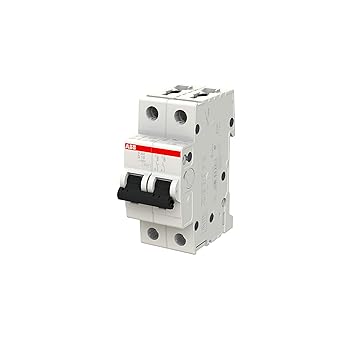 ABB Miniature Circuit Breaker 2CDS252001R0101-S202D10