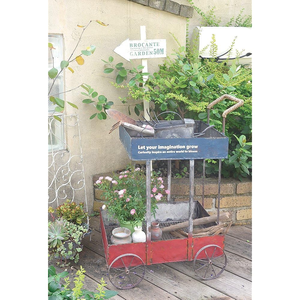 azi-azi planter step cart