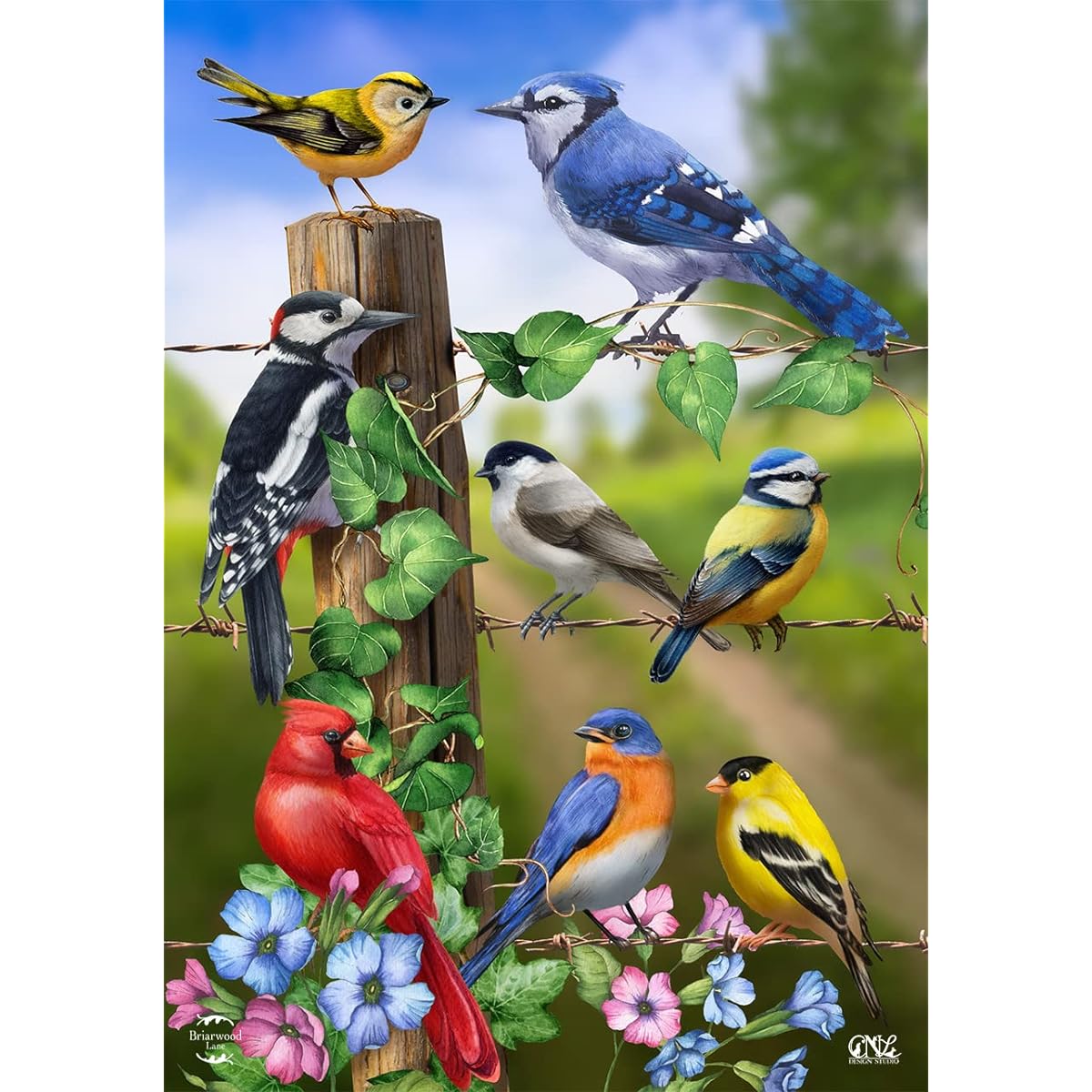 Briarwood Lane Country Birds Spring House Flag Goldfinch Blue Jay 28" x 40"