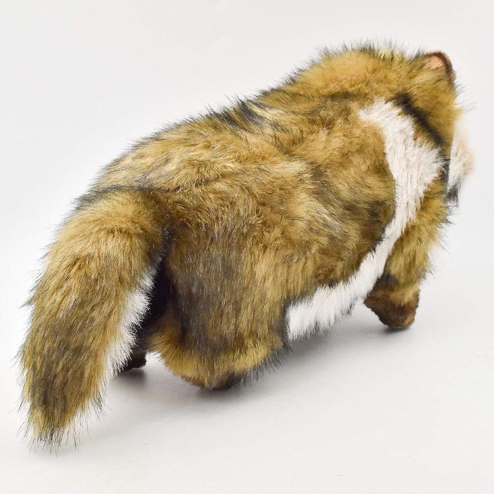 BH7256 HANSA raccoon dog 46