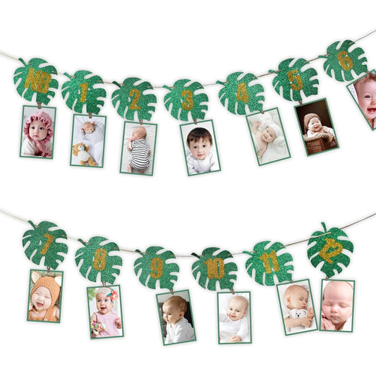 1st Birthday Photo Banner 13 Pieces 1st Birthday Decorations Tropical Theme Paper Banner First Birthday Decorations for Girls and Boys Monthly Milestone Garland