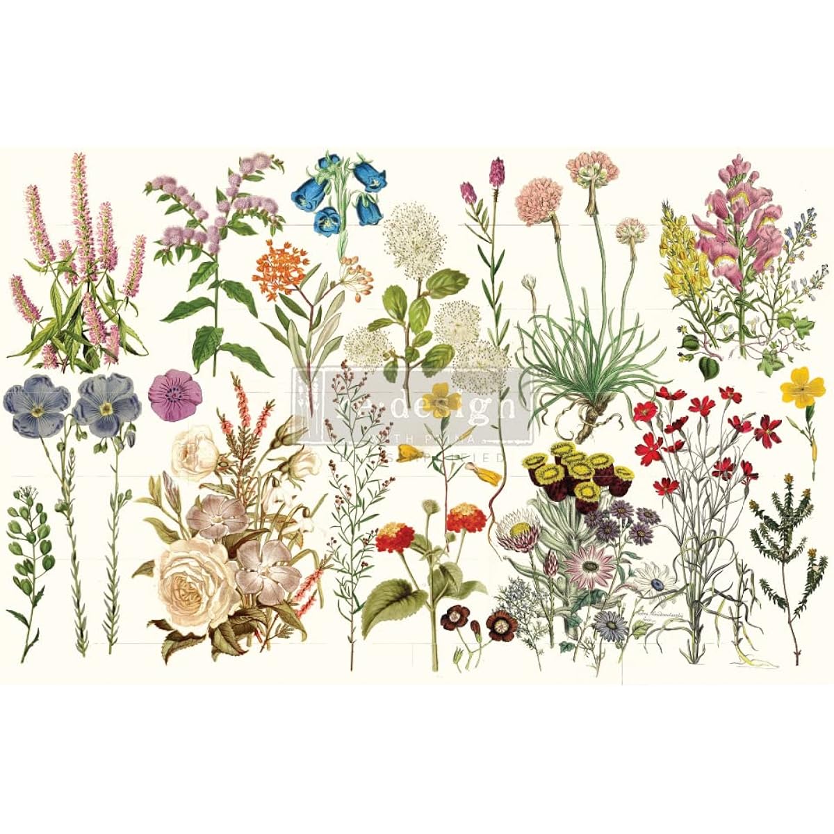 Prima Re-Design Decoupage Decor Tissue Paper 19"X30"-Wild Herbs -REDTP-50773