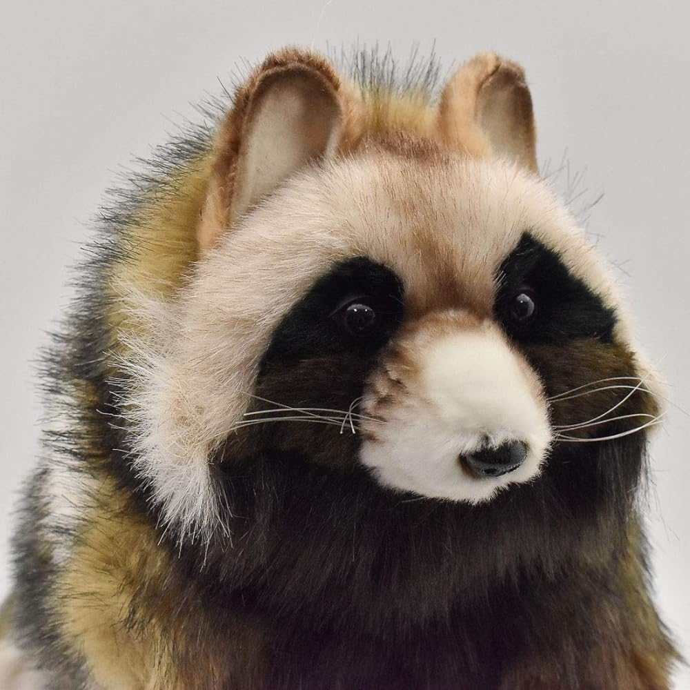 BH7256 HANSA raccoon dog 46