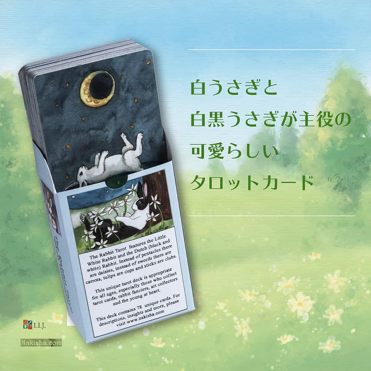 [Cute rabbits running around] The Rabbit Tarot with Japanese explanation book