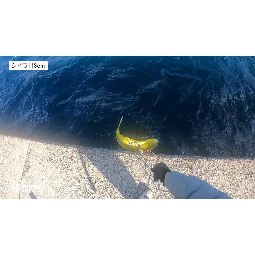 Dropping double gaff (patented) - Center shaft - Green object intake system - NS