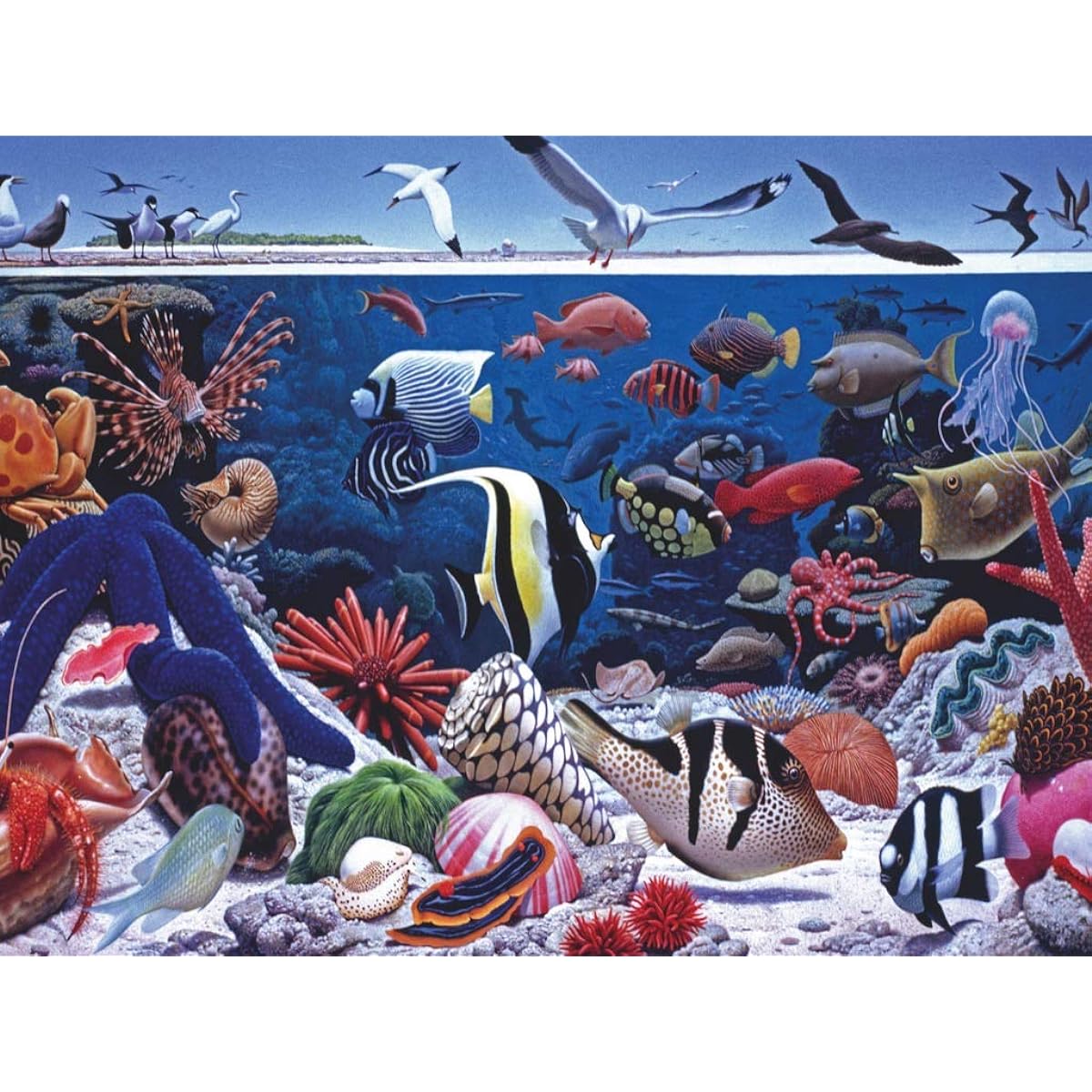New York Puzzle Company – National Geographic Ocean Life – 500 Piece Jigsaw Puzzle