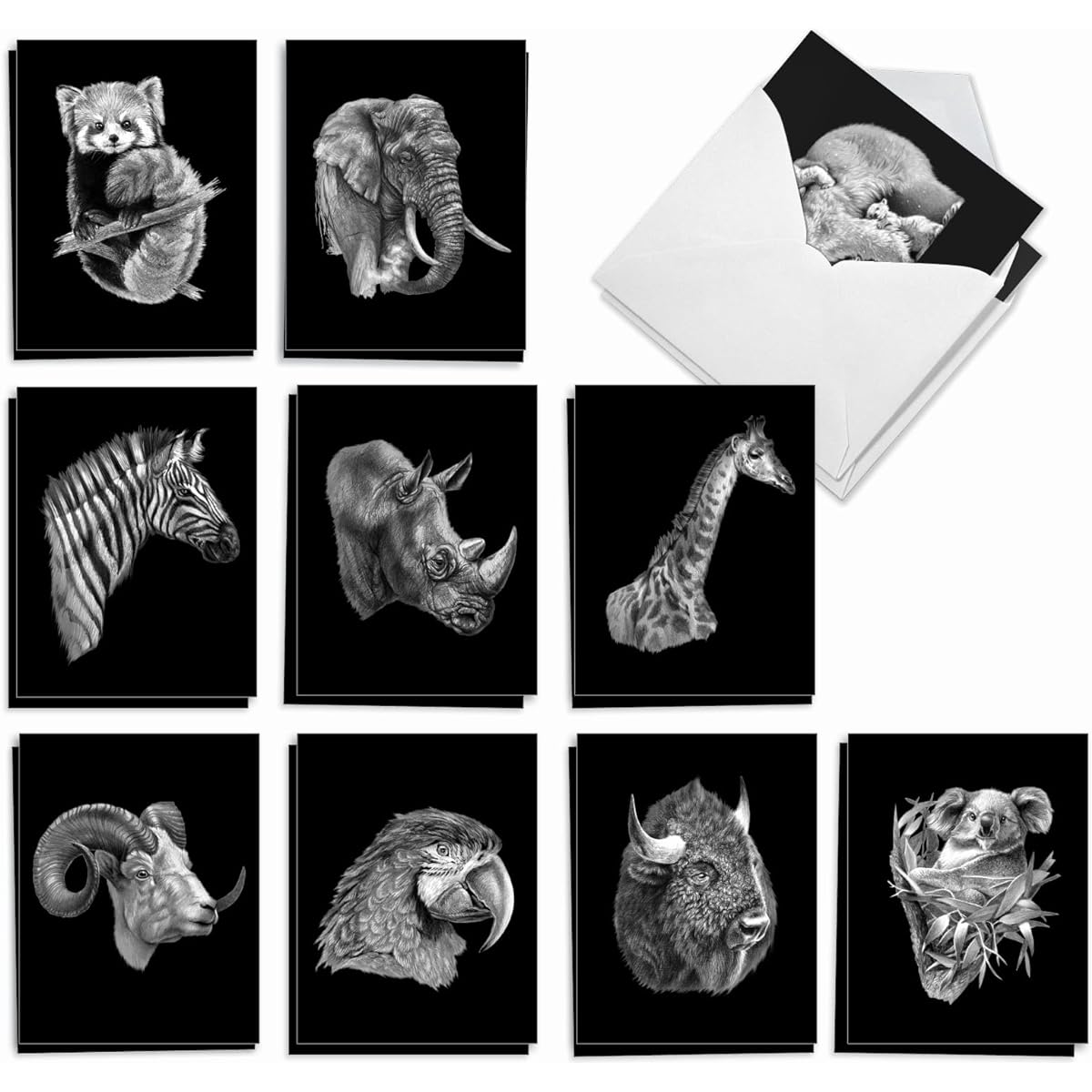 The Best Card Company Wildlife Sketches - Box of 20 All Occasion Notecards with Envelopes (4 x 5.12 inches) - AM2817OCB-B2x10