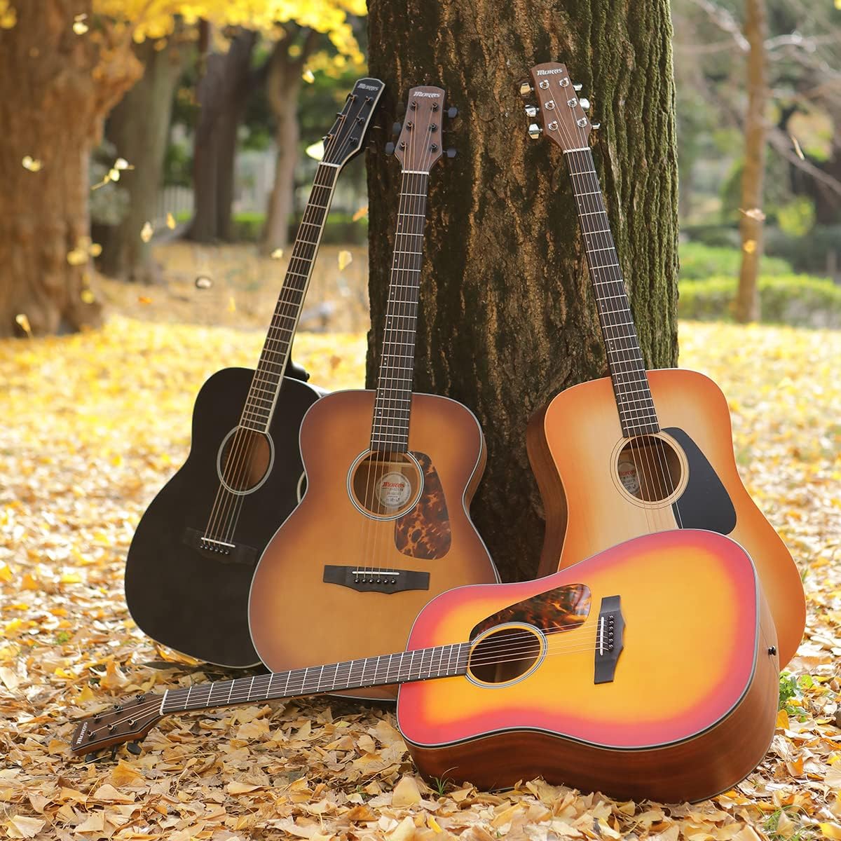 Morris Morris Perfomers Edition M-021 VS Acoustic Guitar Violin Sunburst Matte Matte Painting