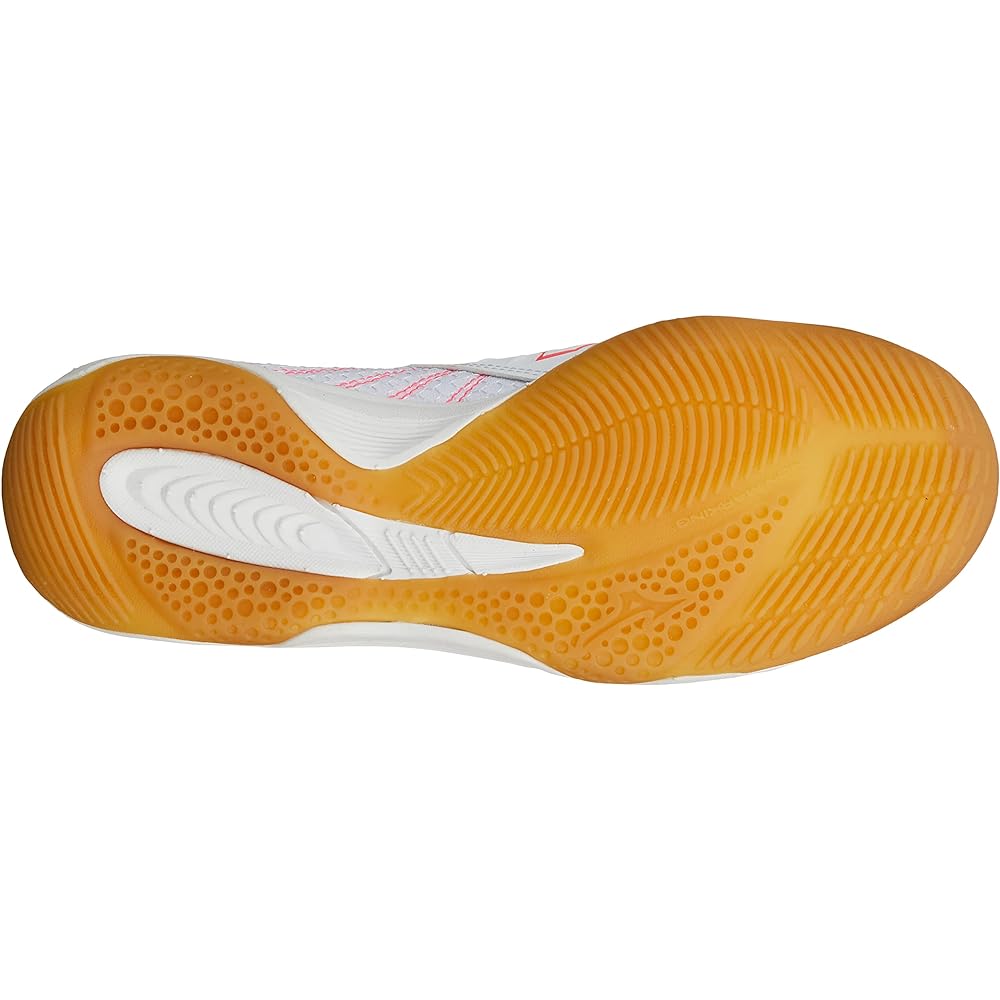 [Mizuno] Futsal shoes Revula SALA PRO IN (current model)