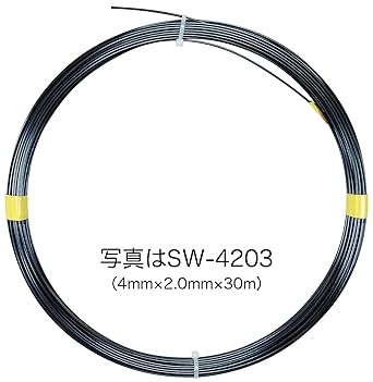 Densan Steel Wire High Grade Hardened Hard Steel Wire Width 3.0 x Thickness 1.5mm 30m SW-3153