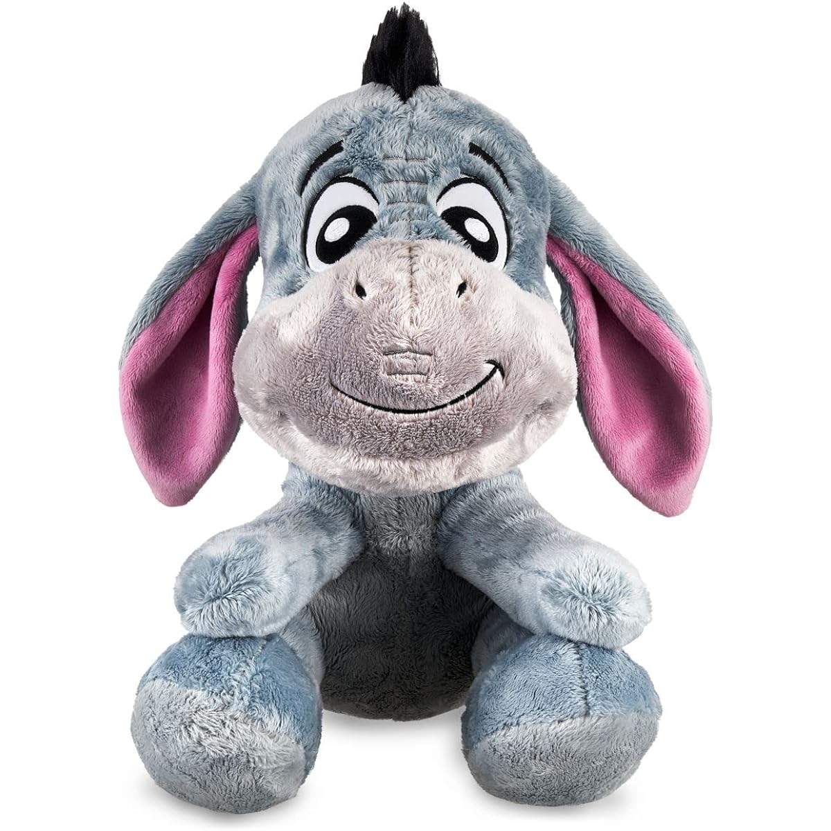 Disney Eeyore Big Feet Plush Winnie the Pooh Small 10 inch
