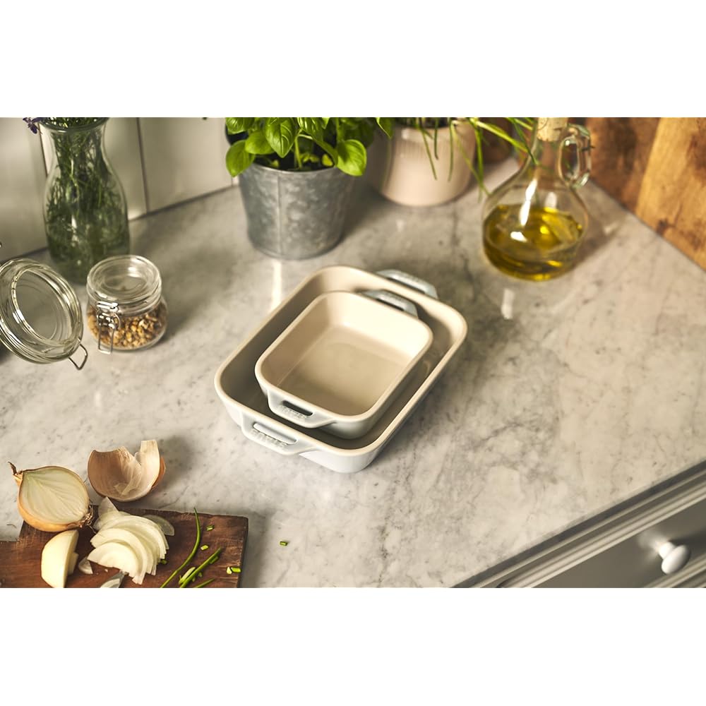 staub "Rectangular Dish (14 x 11cm / 20 x 16cm) 2 Piece Set Macaron Blue" Ceramic Set Gratin Dish Oven Microwave Safe [Authorized Japanese Product] Dish Z1029-461