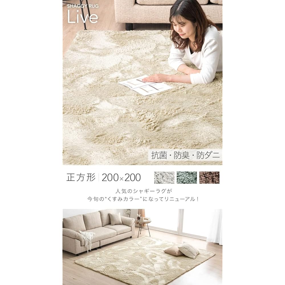 Tansu no Gen Rug Shaggy Rug 200 x 200 cm Square 2 Tatami Washable Fluffy Pile Approximately 25 mm Anti-Slip Hot Carpet Compatible with Floor Heating All Seasons Silver Gray 19510003 (83558)